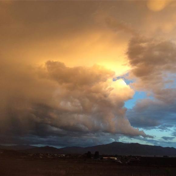 Meet your Posher, Josh - Picture 1 of 1